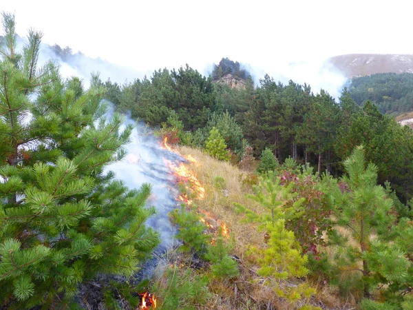 Incendio Nel Bosco Ring Mount Città Kislovodsk Russia — Foto Stock