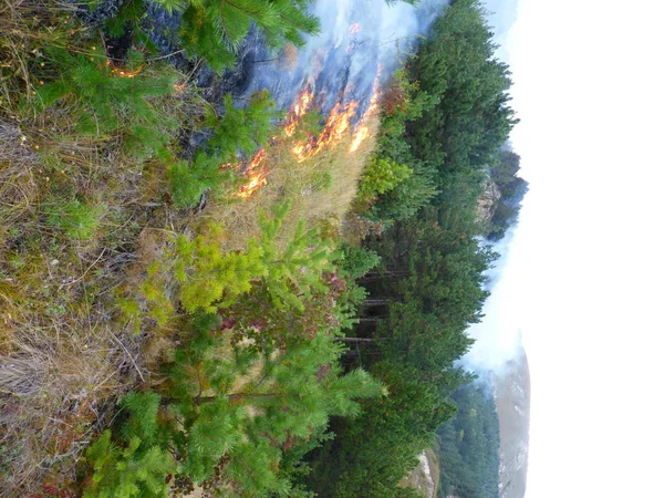 Incêndio Floresta Monte Anel Cidade Kislovodsk Rússia — Fotografia de Stock