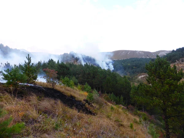 Kislovodsk, Rusya'nın Kislovodsk şehrindeki bir ring-mount'daki ormanda yangın