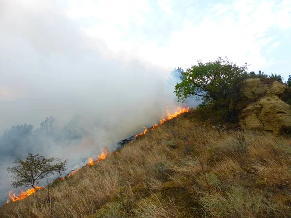 Kislovodsk, Rusya'nın Kislovodsk şehrindeki bir ring-mount'daki ormanda yangın