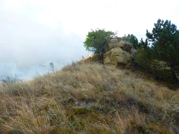 Kislovodsk, Rusya'nın Kislovodsk şehrindeki bir ring-mount'daki ormanda yangın