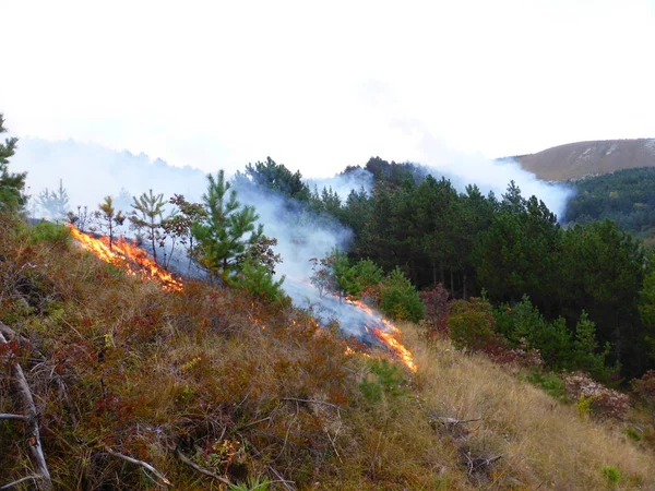 Incendio Nel Bosco Ring Mount Città Kislovodsk Russia — Foto Stock