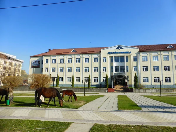 Hästar Framför Kliniken Byn Uchkeken — Stockfoto