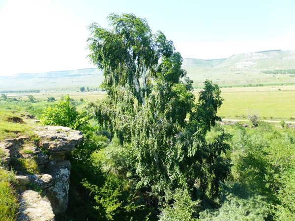 Rivière Podkumok Dans Sud Russie — Photo