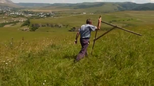 Surveyor Measures Plot Haymaking — Stock Video