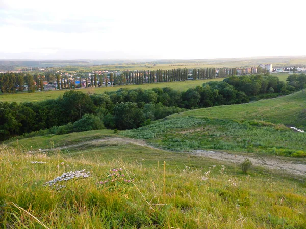 Gras Vallei Horizon Uitzicht Stad Kislovodsk — Stockfoto