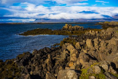 Okyanus ve Bulutlu Dağlarla İzlanda Kayalık Kıyı Şeridi