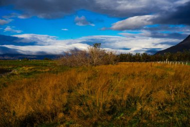 Dramatik Bulutlu Gökyüzü Altında Çalılarla Altın Çimen Sahası