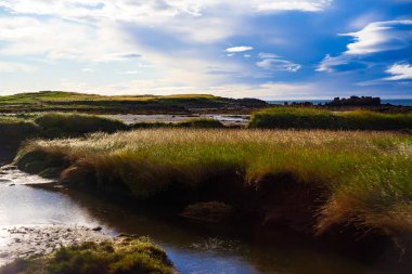 İzlanda 'da Blue Sky ile Kıyı Çayırı ve Rocky Shore