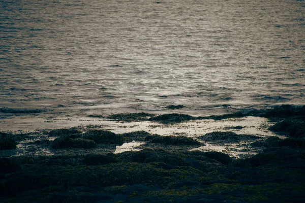 Kaya ve yansımalı karanlık deniz dalgaları