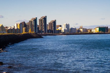 Reykjavik, İzlanda 'nın modern silueti ve limanı