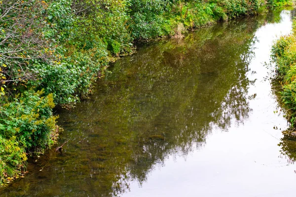 Yeşil kıyılar ve yansımalarla akan temiz nehir suyu