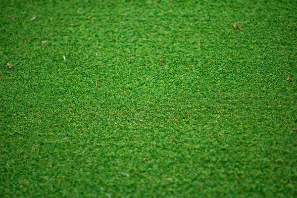 Taze yeşil çimen dokusu doğal arkaplan