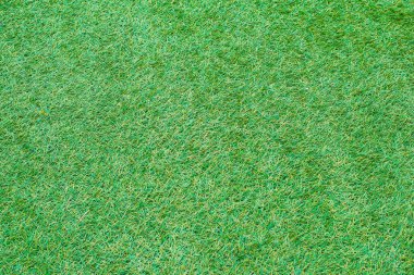 Yeşil çimen dokusu yakın plan