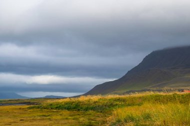 Bulutlu gökyüzü ve çimenli arazisiyle İzlanda 'nın dramatik manzarası