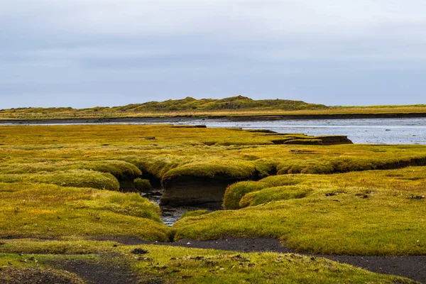 Çimenli sulak alanlar ve kıyı manzaralı İzlanda kıyı erozyonu manzarası