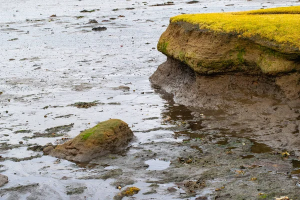 İzlanda 'da çamurlu kıyı ve çimen kenarlı kıyı erozyonu