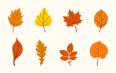 Renkli bir sonbahar yaprakları koleksiyonu vektör illüstrasyonu, renkli sonbahar yaprakları vektör seti, yazdırma tasarımı ve dijital sanat eserleri