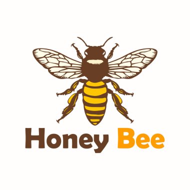 Bal arısı çizimi, Bal arısı çizimi, Arı çizimi, Arı çizimi, Arı svg