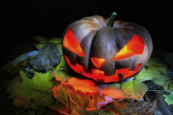 Halloween Pumpkin Jack O\' Lantern.Fall.Scary Halloween scene with pumpkin, candle and leaves