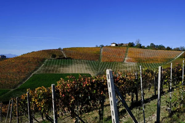 Langhe Piemontesi Autunno Con Suoi Vigneti Sue Dolci Colline — Foto Stock