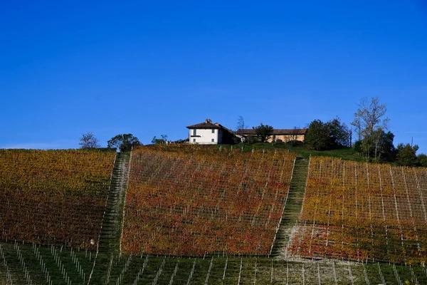 Piedmontese Langhe Podzim Svými Vinicemi Jeho Zvlněné Kopce — Stock fotografie