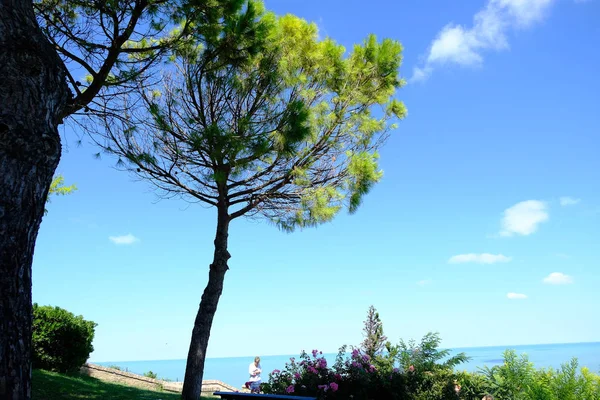 deniz ve sahil gabicce mare ve park san bartolo markaların