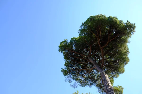 De eilanden van Lerins voor de kust van Cannes — Stockfoto