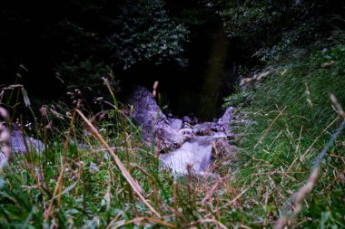 ipeksi su ile dağ dere