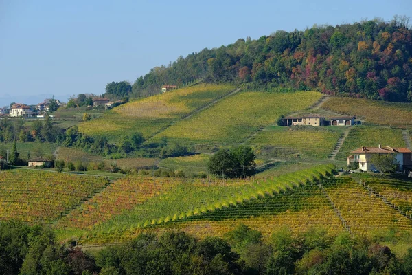 Αμπελώνες του Πεδεμοντίου Langhe — Φωτογραφία Αρχείου