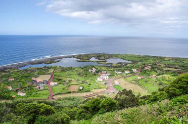 Aores yeşil orman doğa