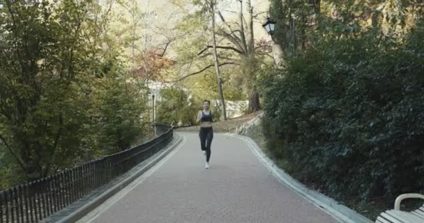 トレーニングの美しい若いモデルの少女は公園 スローモーションで走ります — ストック動画