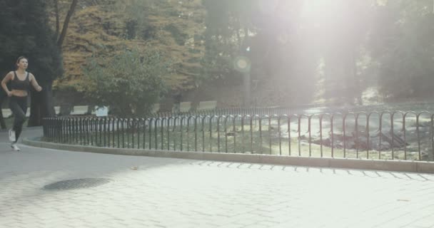 朝モーション トラックで公園で走っているロード ランナー女性 — ストック動画