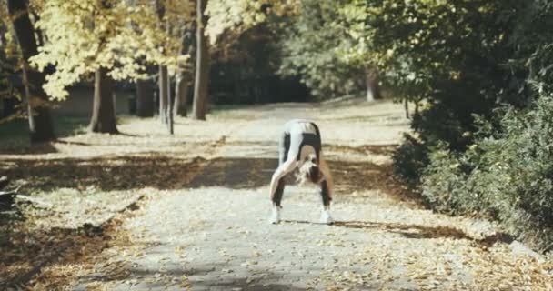 Το πρωί jogging από μια αθλητική γυναίκα σε ένα πάρκο της πόλης — Αρχείο Βίντεο