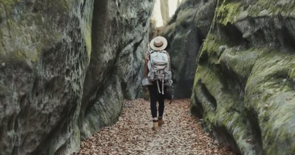 Вид на молодую девушку путешественника ходьба по скалам, женщина турист ходьба скалы — стоковое видео