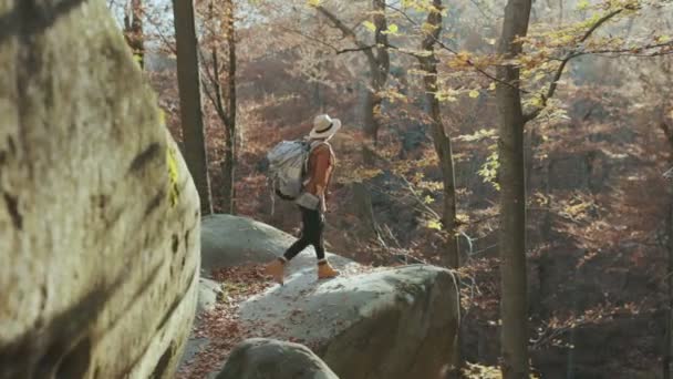 Viaggiatore ragazza in cappotto con zaino e in feltro cappello dice wow, guardarsi intorno e isolato nella giornata di sole — Video Stock