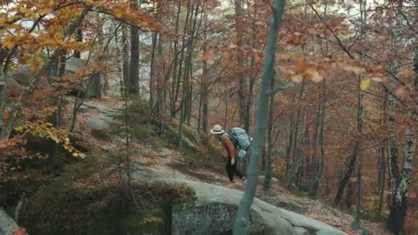 Çekici kadın turist onun omuzlarında bir sırt çantası ile sonbahar orman kayalara geçmiş üzerinden seyahat — Stok video