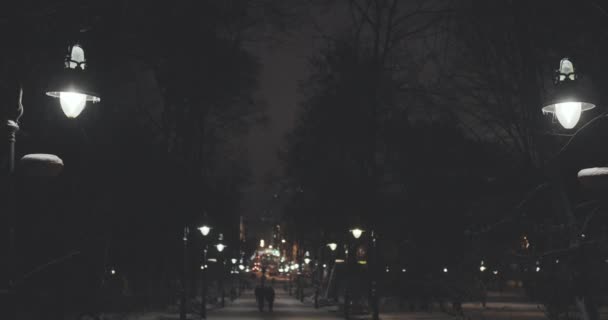 Night Alley dans un parc d'hiver avec de belles lanternes et bancs — Video