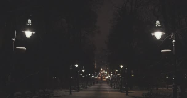 Callejón nocturno en un parque de invierno con hermosas linternas — Vídeos de Stock