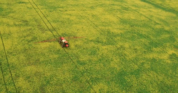 Campo com uma Canola. Agricultura trator pulverização verão colheita trigo campo — Fotografia de Stock