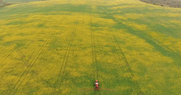 Tractor Equipment Fertilize Spray Agriculture Canola Crop Plant Field