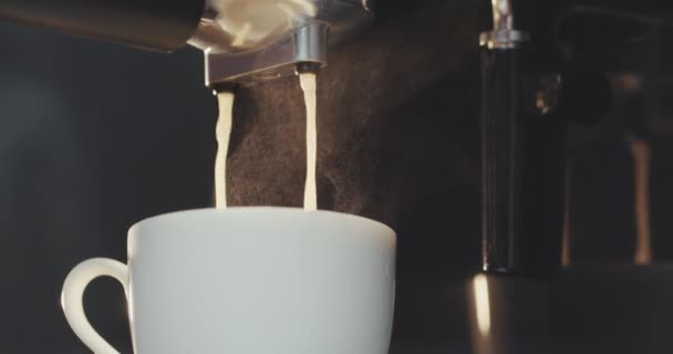Prepare of espresso coffee. Coffee poured into a cup of coffee machine — Stock Video