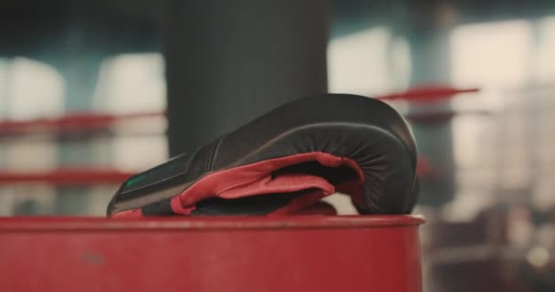 Boxing gloves laying in ring — Stock Video