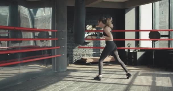 Kickbox žena školení boxovací pytel v fitness studio síly fit tělo — Stock video