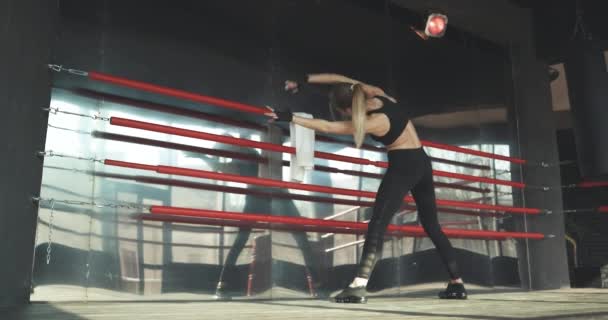 La donna atletica fa flessioni come parte del suo Cross Fitness, routine di allenamento di bodybuilding — Video Stock