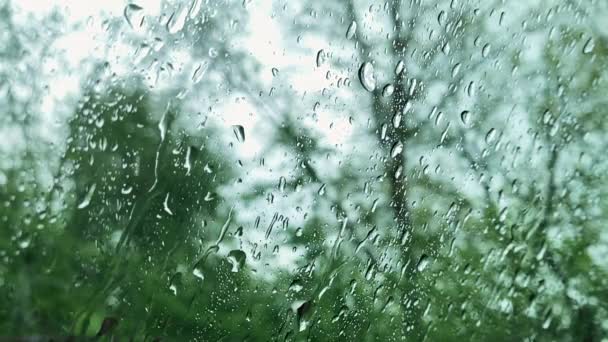 Regendruppels op raam glazen oppervlak met bewolkte achtergrond. Rijden in de regen. Uitzicht vanaf autoruit met druppels. — Stockvideo