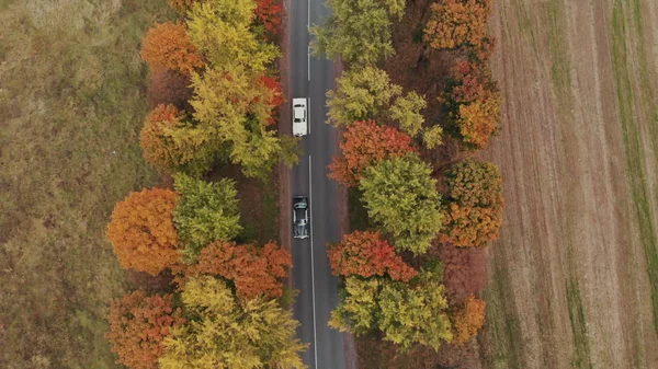 Two luxury cars ride along the road. Aerial view of car driving along the forest road of dense woods growing both sides