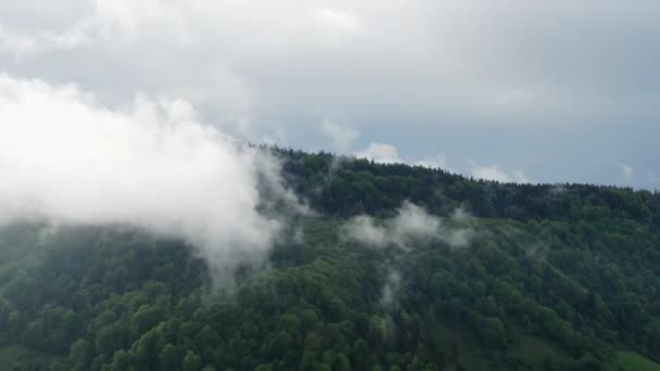 Regenwoud. Rrain forest jungle en wolken luchtbeelden — Stockvideo