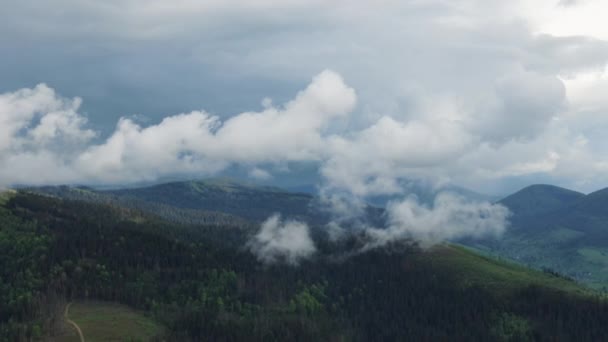 Flyger över en fantastisk regnskog, flygutsikt över regnskogen med dimma vid soluppgången. 4K antenn video, regn skog landskap — Stockvideo