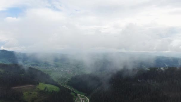 Le montagne con la foresta di pini con nebbia nebbiosa. nebbia nebbia soffiando oltre montagne con pineta foresta — Video Stock